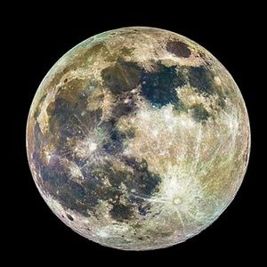 Meet your Posher, Kendell